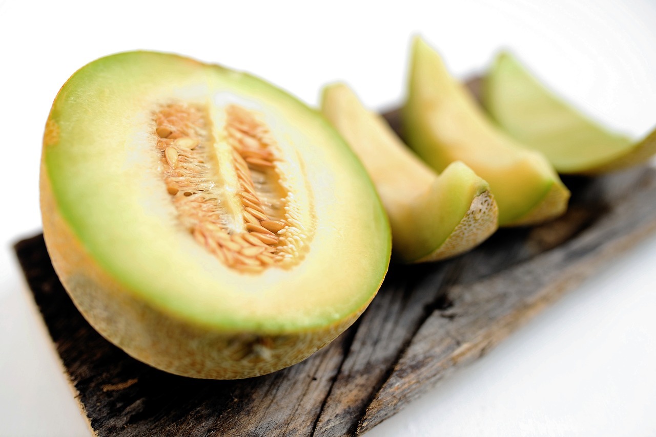 melon, honeydew melon, galia